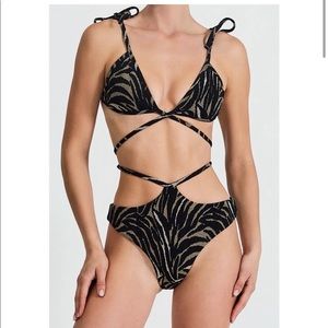 Devon Windsor Suki Bikini top and bottom